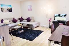 9 living area Colindale serviced apartment 60