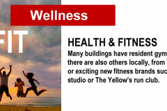 1_Wellness
