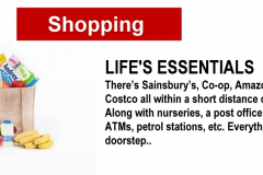 2_food-shopping