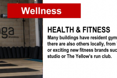Wellness