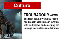 culture-troub