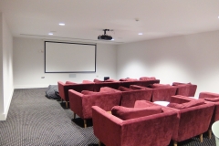 27 cinema in-house chairs