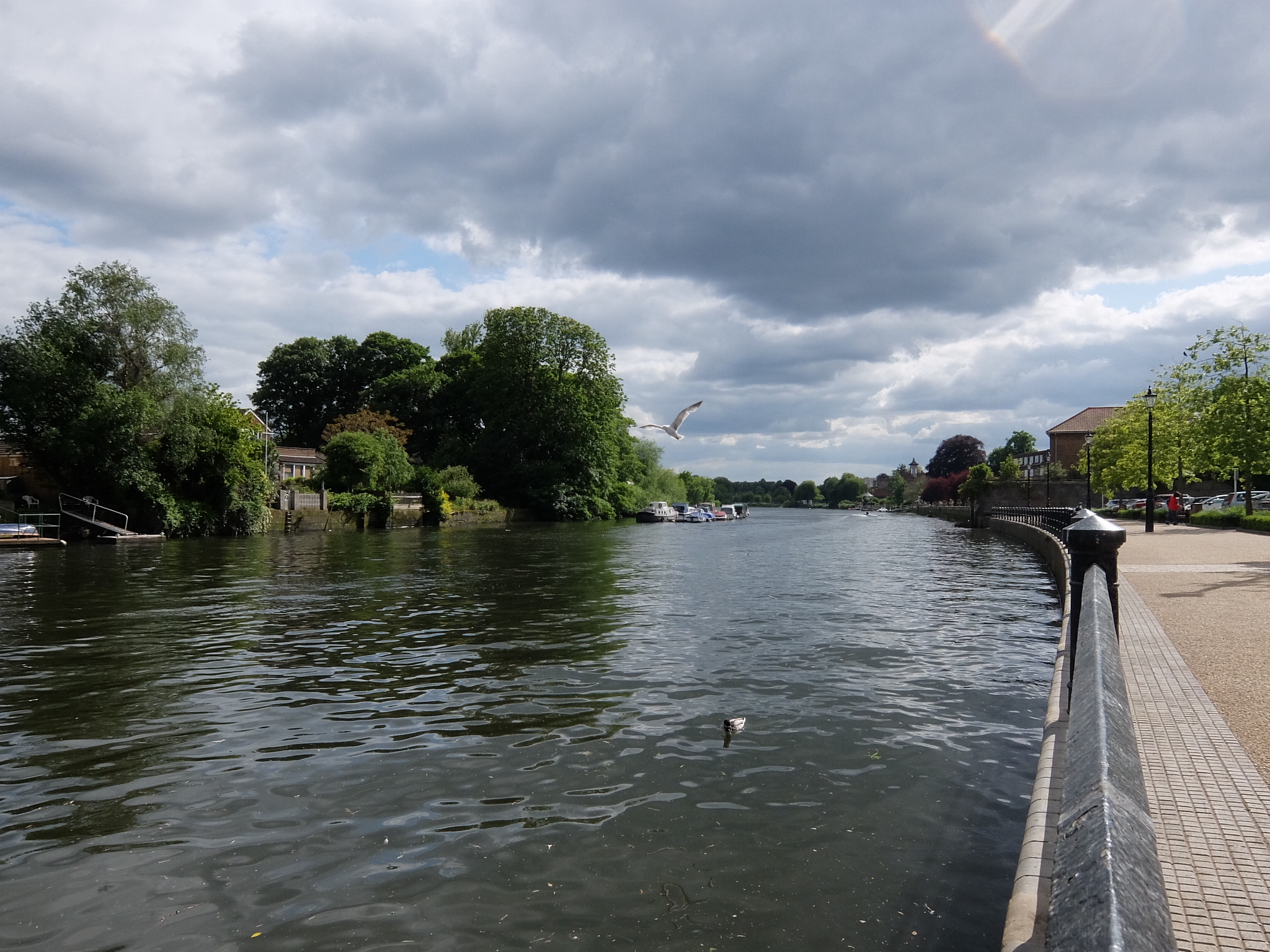 12 Twickenham riverside, a 2 min walk to King St London Executive